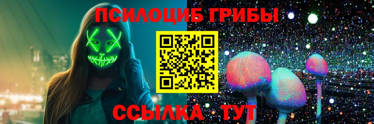 Псилоцибиновые грибы Psilocybine cubensis  Вход с VPN  Славгород 