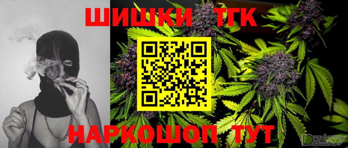 Бошки Шишки план Славгород